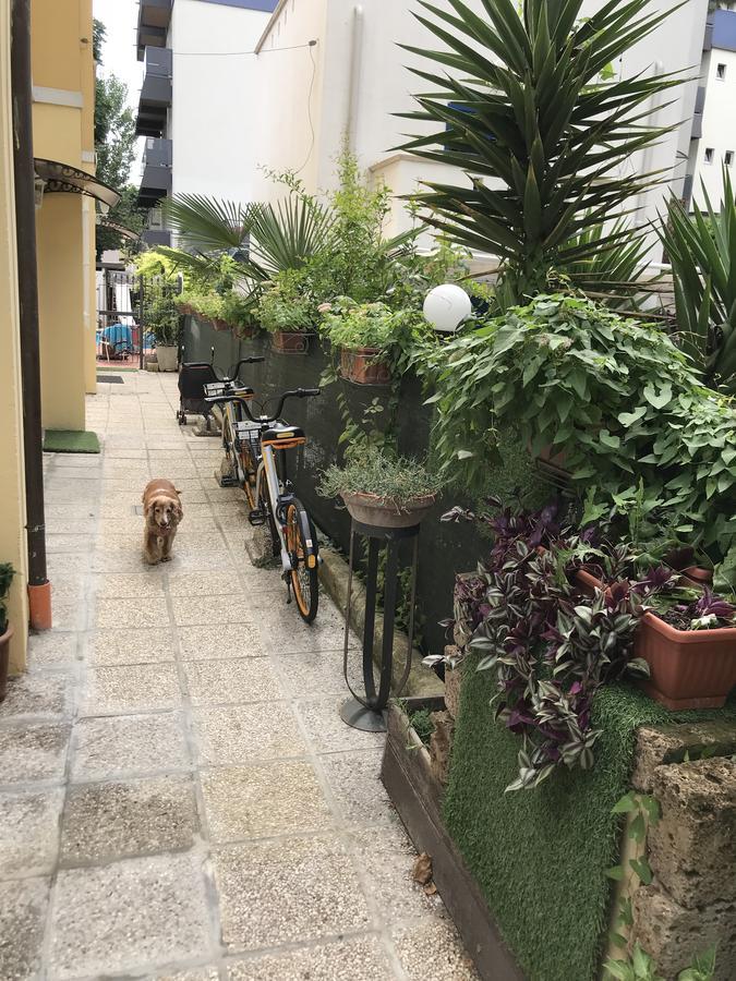 Villa Grazia Rimini Exterior foto